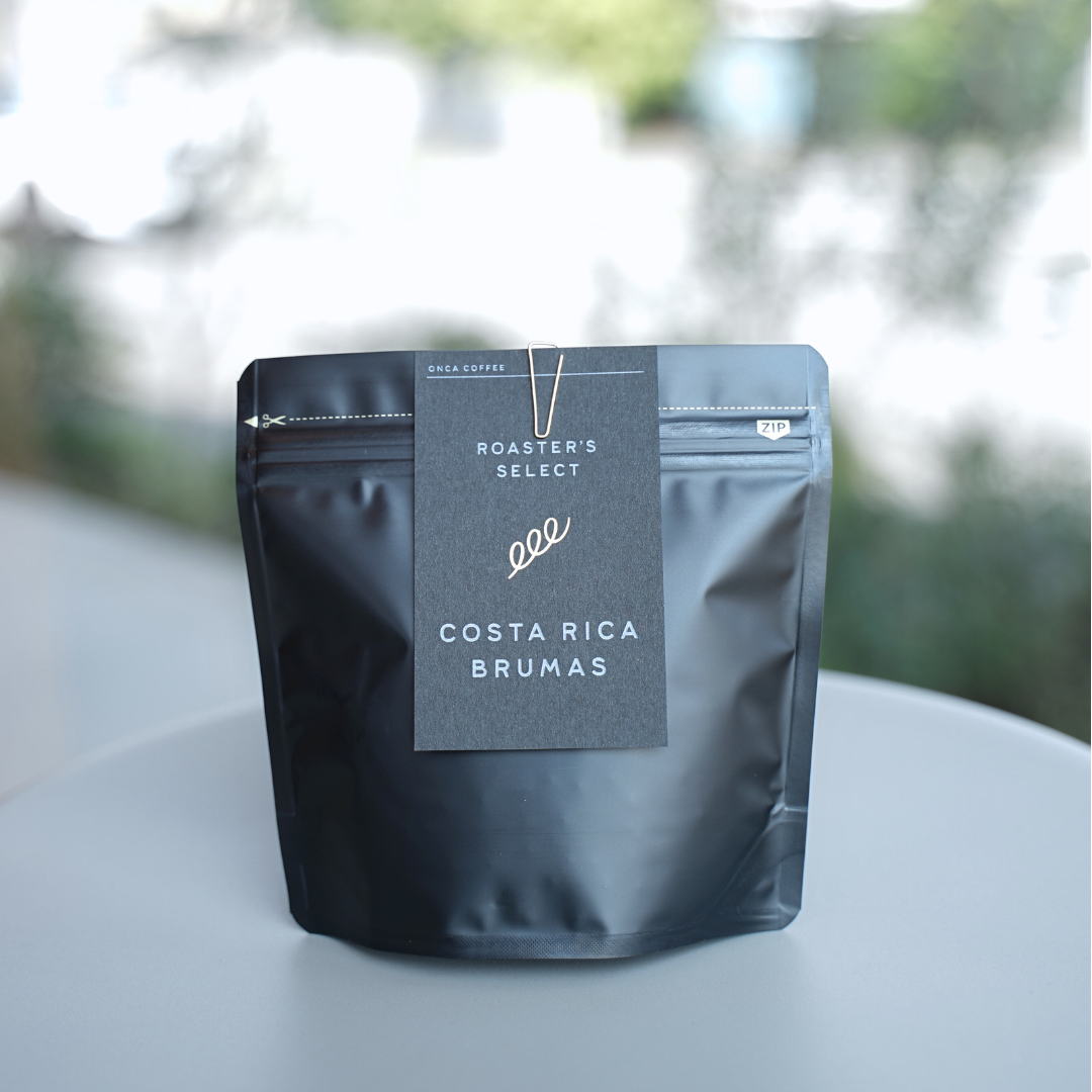新作COSTA RICA BRUMAS、オンラインにて先行発売!